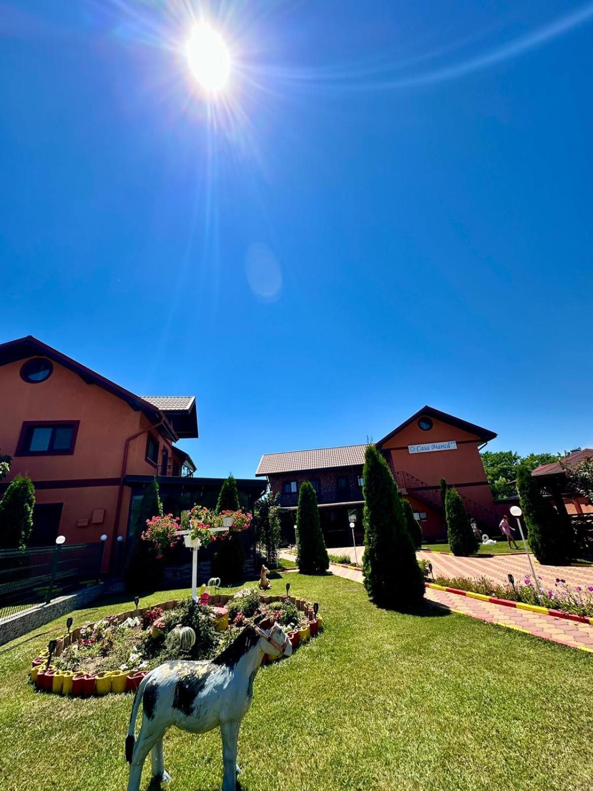 Pensiunea Bianca Hotel Корбу Екстериор снимка