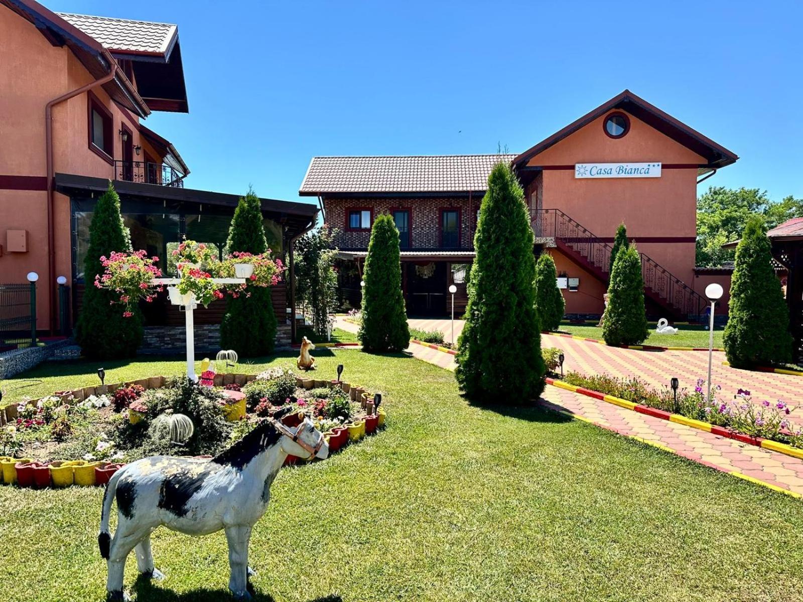 Pensiunea Bianca Hotel Корбу Екстериор снимка