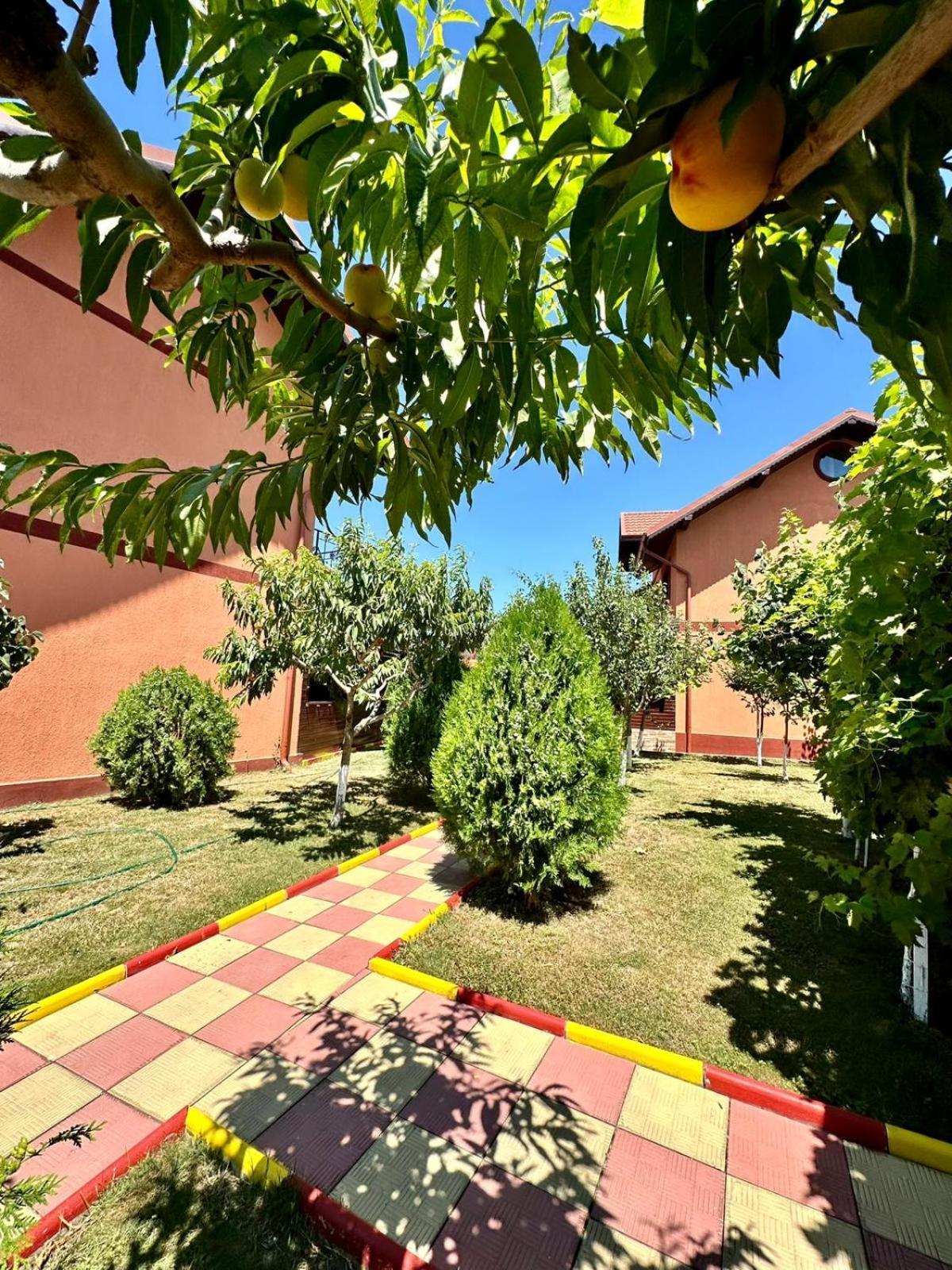 Pensiunea Bianca Hotel Корбу Екстериор снимка